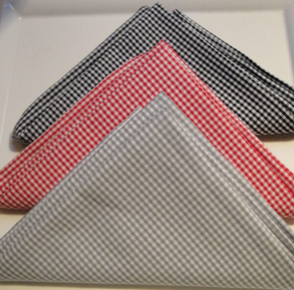 Gingham FAT Fat Quarters - Ladybug