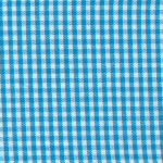 Turquiose Gingham 1/16"