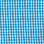 Turquiose Gingham 1/16"